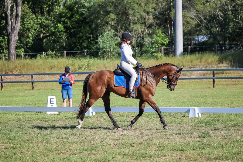 JPC Feb 2026 Dressage-7312.jpg