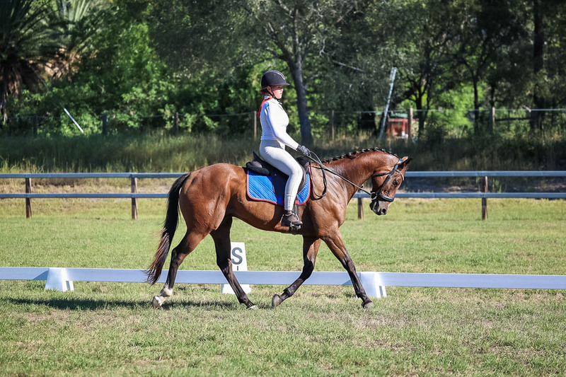 JPC Feb 2026 Dressage-7313.jpg