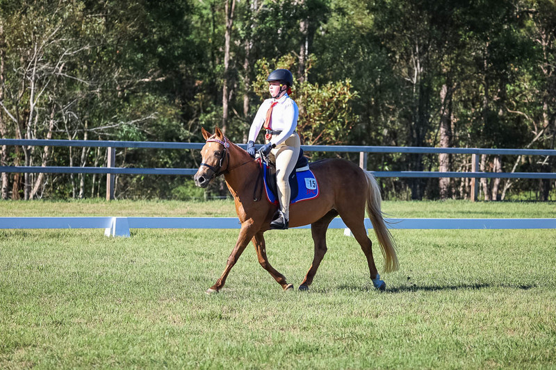 JPC Feb 2026 Dressage-7314.jpg