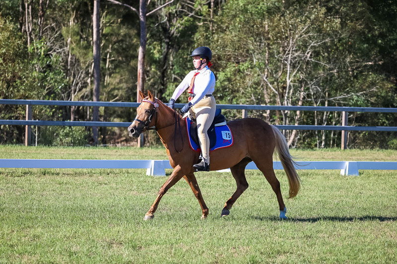 JPC Feb 2026 Dressage-7315.jpg