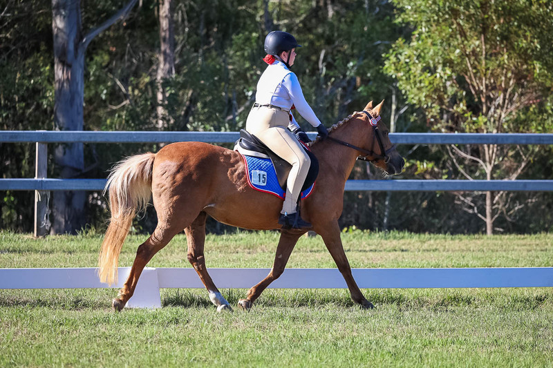 JPC Feb 2026 Dressage-7316.jpg