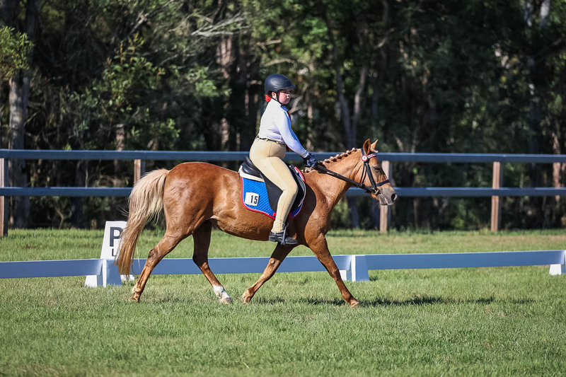 JPC Feb 2026 Dressage-7317.jpg