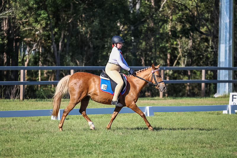 JPC Feb 2026 Dressage-7318.jpg