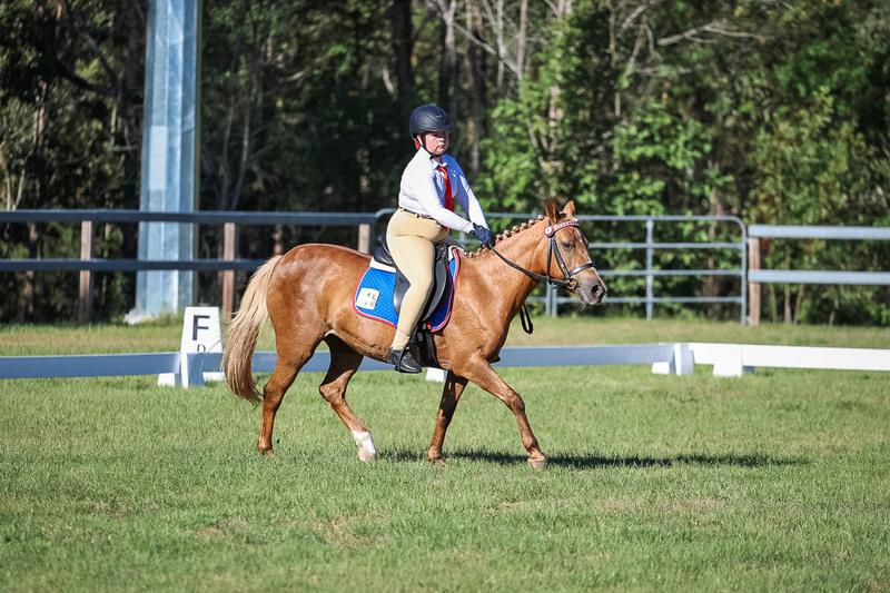 JPC Feb 2026 Dressage-7320.jpg