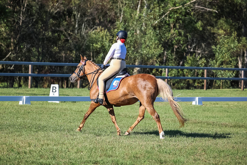 JPC Feb 2026 Dressage-7321.jpg