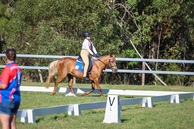 JPC Feb 2026 Dressage-7324.jpg