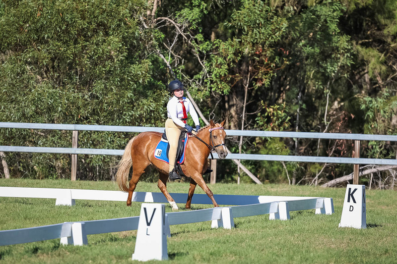 JPC Feb 2026 Dressage-7325.jpg