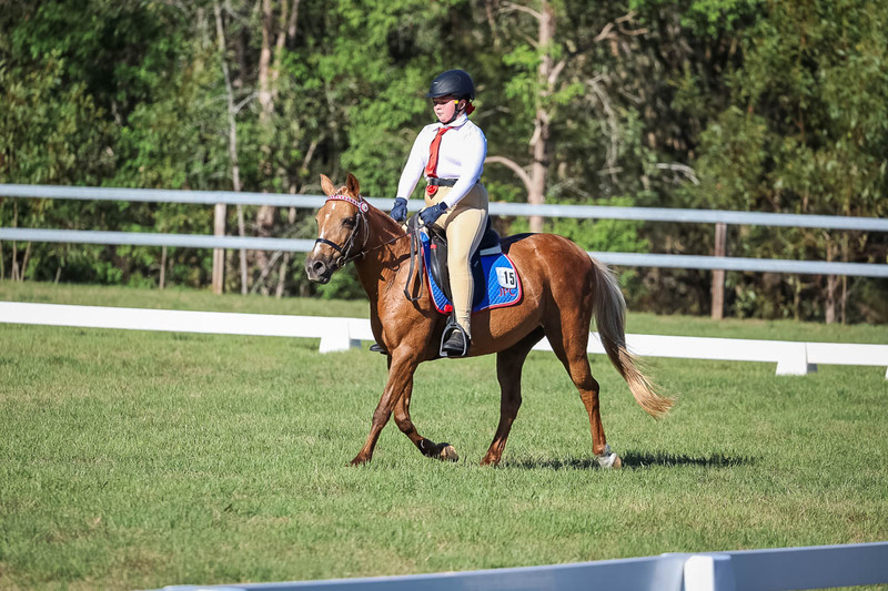 JPC Feb 2026 Dressage-7326.jpg