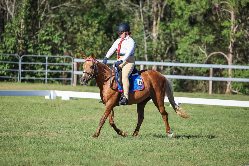 JPC Feb 2026 Dressage-7327.jpg
