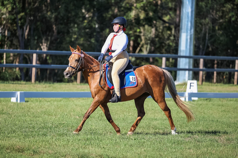 JPC Feb 2026 Dressage-7329.jpg