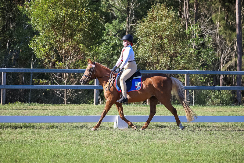 JPC Feb 2026 Dressage-7330.jpg