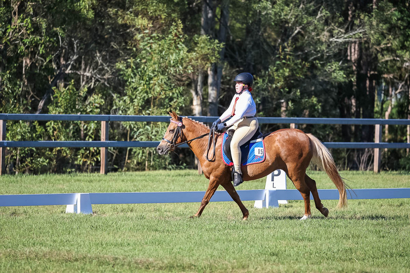JPC Feb 2026 Dressage-7332.jpg