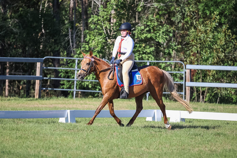 JPC Feb 2026 Dressage-7333.jpg