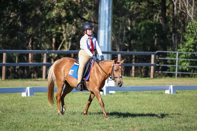 JPC Feb 2026 Dressage-7334.jpg