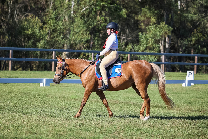 JPC Feb 2026 Dressage-7335.jpg