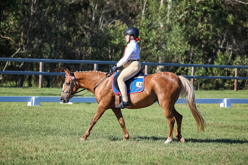 JPC Feb 2026 Dressage-7336.jpg