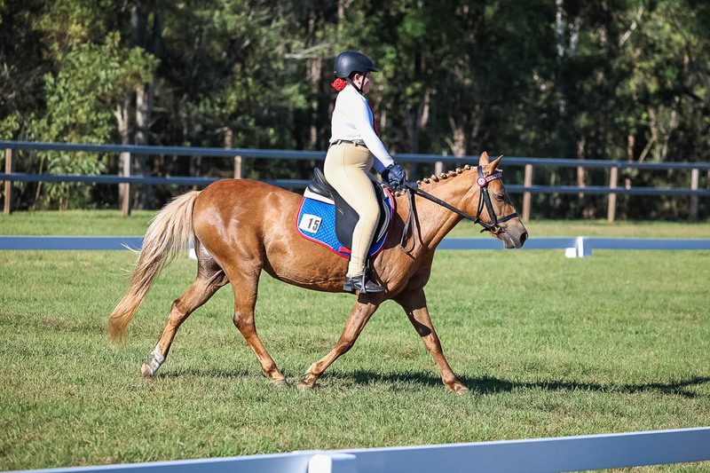 JPC Feb 2026 Dressage-7337.jpg