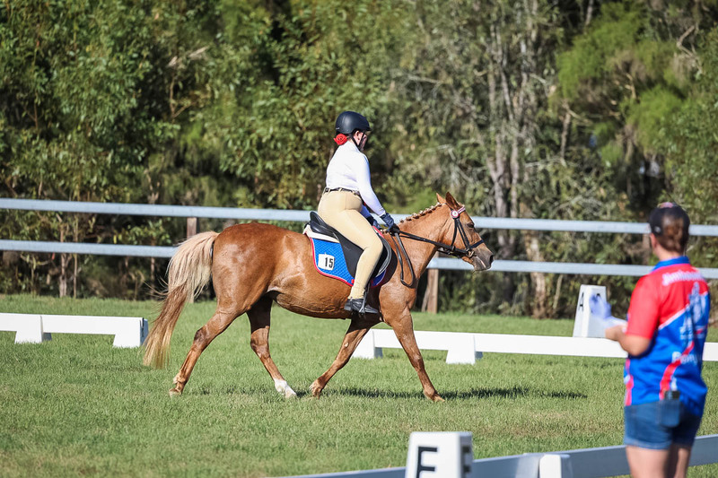 JPC Feb 2026 Dressage-7339.jpg