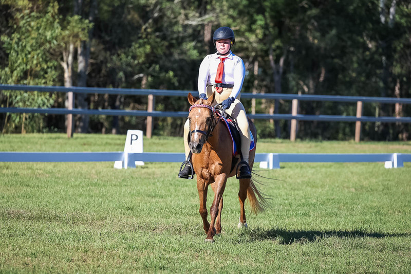 JPC Feb 2026 Dressage-7340.jpg
