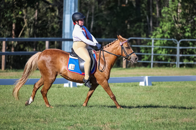 JPC Feb 2026 Dressage-7341.jpg