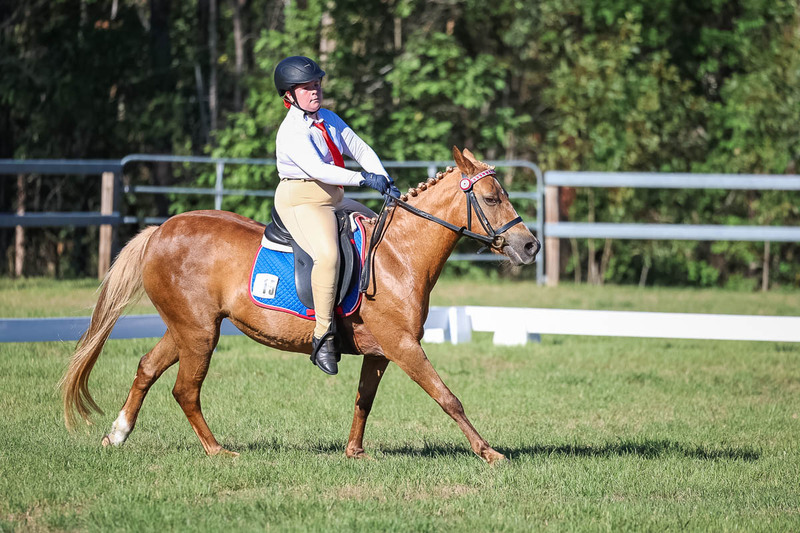 JPC Feb 2026 Dressage-7342.jpg