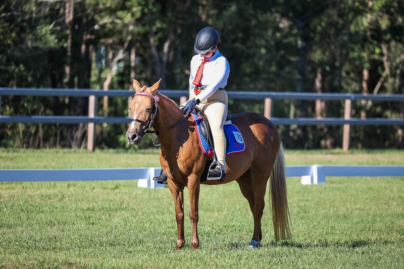 JPC Feb 2026 Dressage-7343.jpg