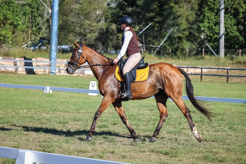 JPC Feb 2026 Dressage-7344.jpg