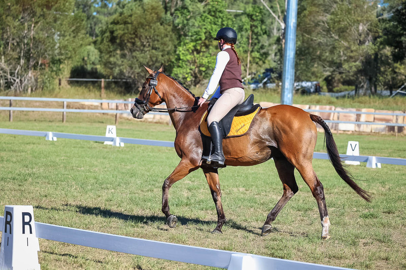 JPC Feb 2026 Dressage-7345.jpg