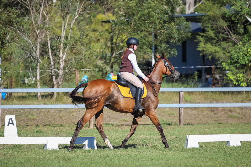 JPC Feb 2026 Dressage-7347.jpg