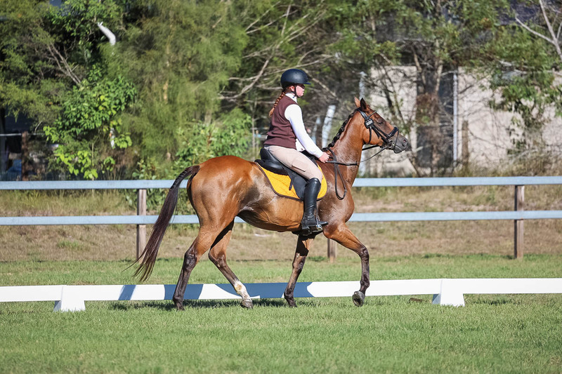JPC Feb 2026 Dressage-7348.jpg