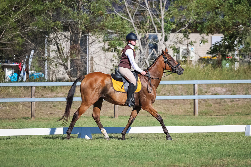 JPC Feb 2026 Dressage-7349.jpg