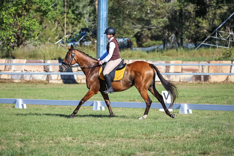 JPC Feb 2026 Dressage-7352.jpg