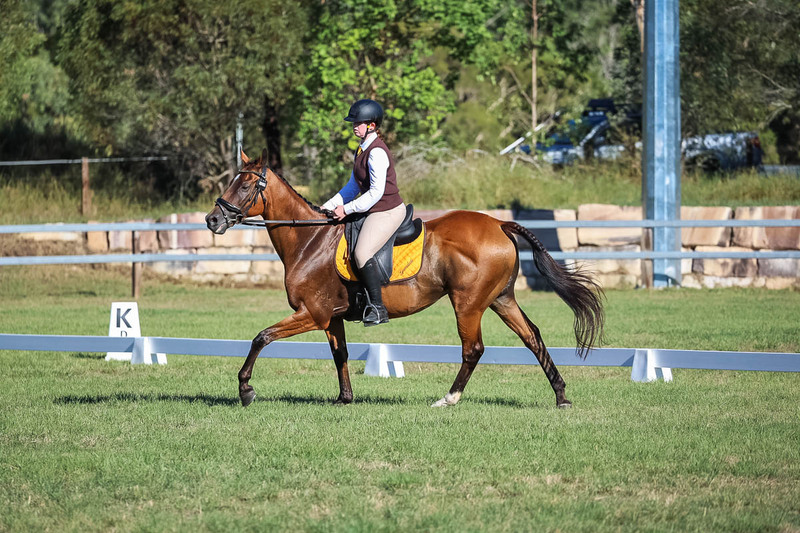 JPC Feb 2026 Dressage-7353.jpg