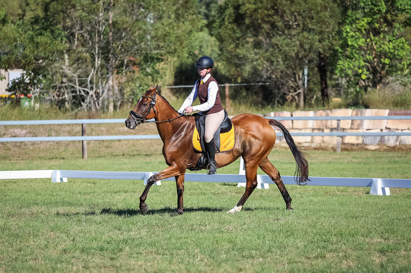 JPC Feb 2026 Dressage-7354.jpg