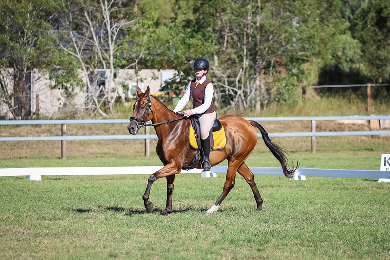 JPC Feb 2026 Dressage-7355.jpg