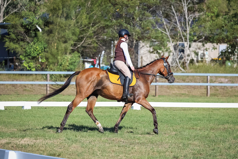 JPC Feb 2026 Dressage-7356.jpg