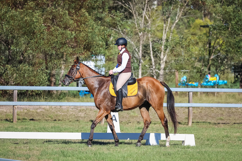 JPC Feb 2026 Dressage-7358.jpg