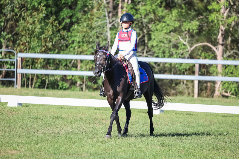 JPC Feb 2026 Dressage-7359.jpg