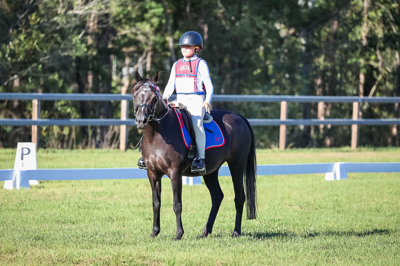 JPC Feb 2026 Dressage-7362.jpg