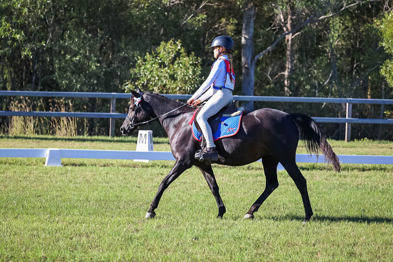 JPC Feb 2026 Dressage-7363.jpg