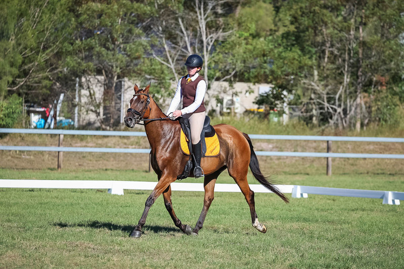 JPC Feb 2026 Dressage-7364.jpg