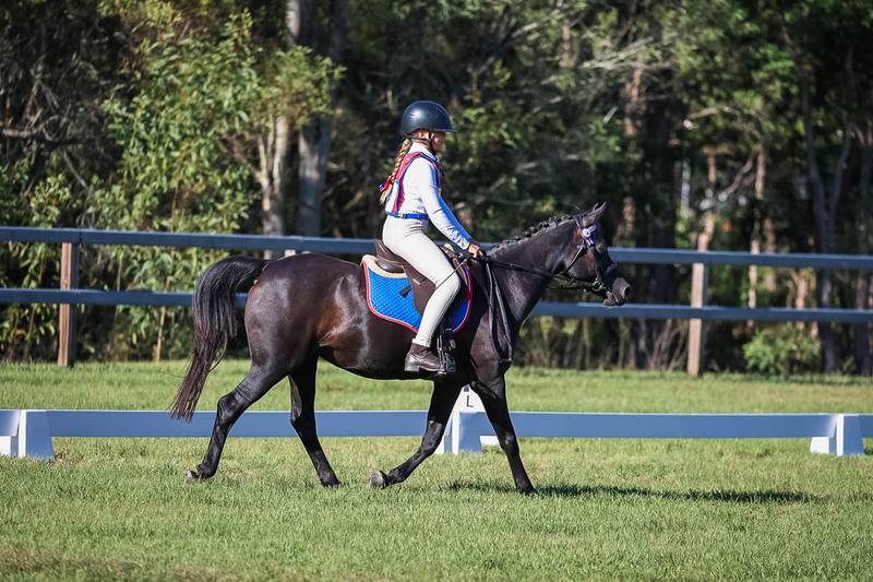 JPC Feb 2026 Dressage-7366.jpg