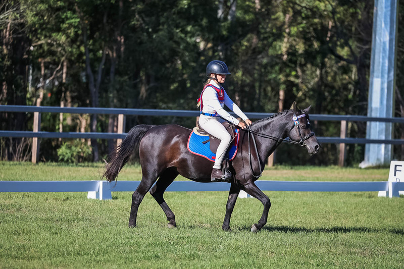 JPC Feb 2026 Dressage-7368.jpg