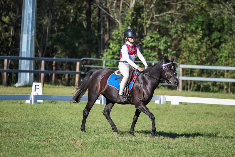 JPC Feb 2026 Dressage-7369.jpg