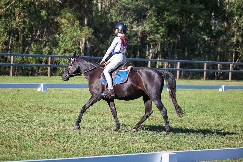 JPC Feb 2026 Dressage-7370.jpg