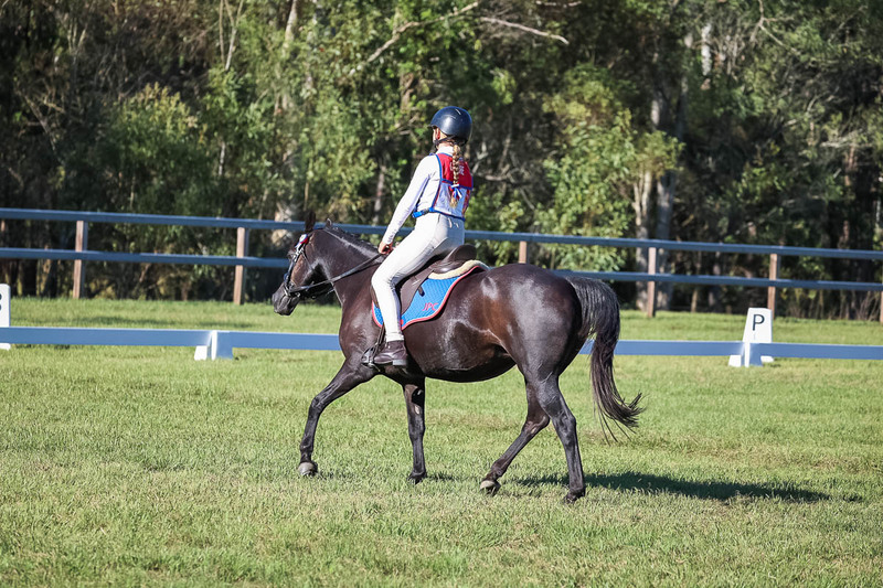JPC Feb 2026 Dressage-7371.jpg