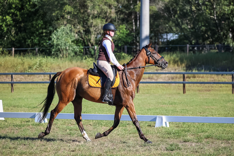 JPC Feb 2026 Dressage-7373.jpg