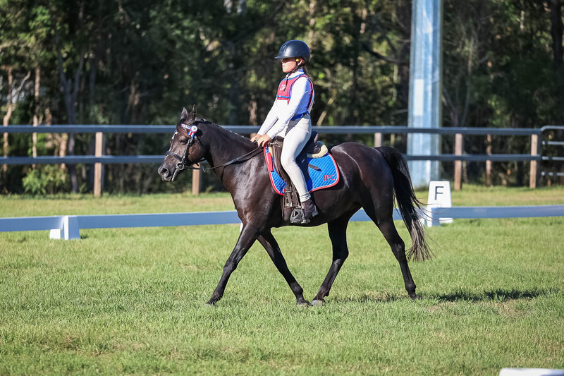 JPC Feb 2026 Dressage-7375.jpg