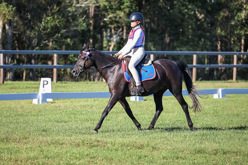 JPC Feb 2026 Dressage-7376.jpg