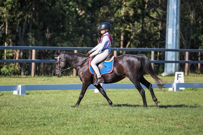 JPC Feb 2026 Dressage-7377.jpg